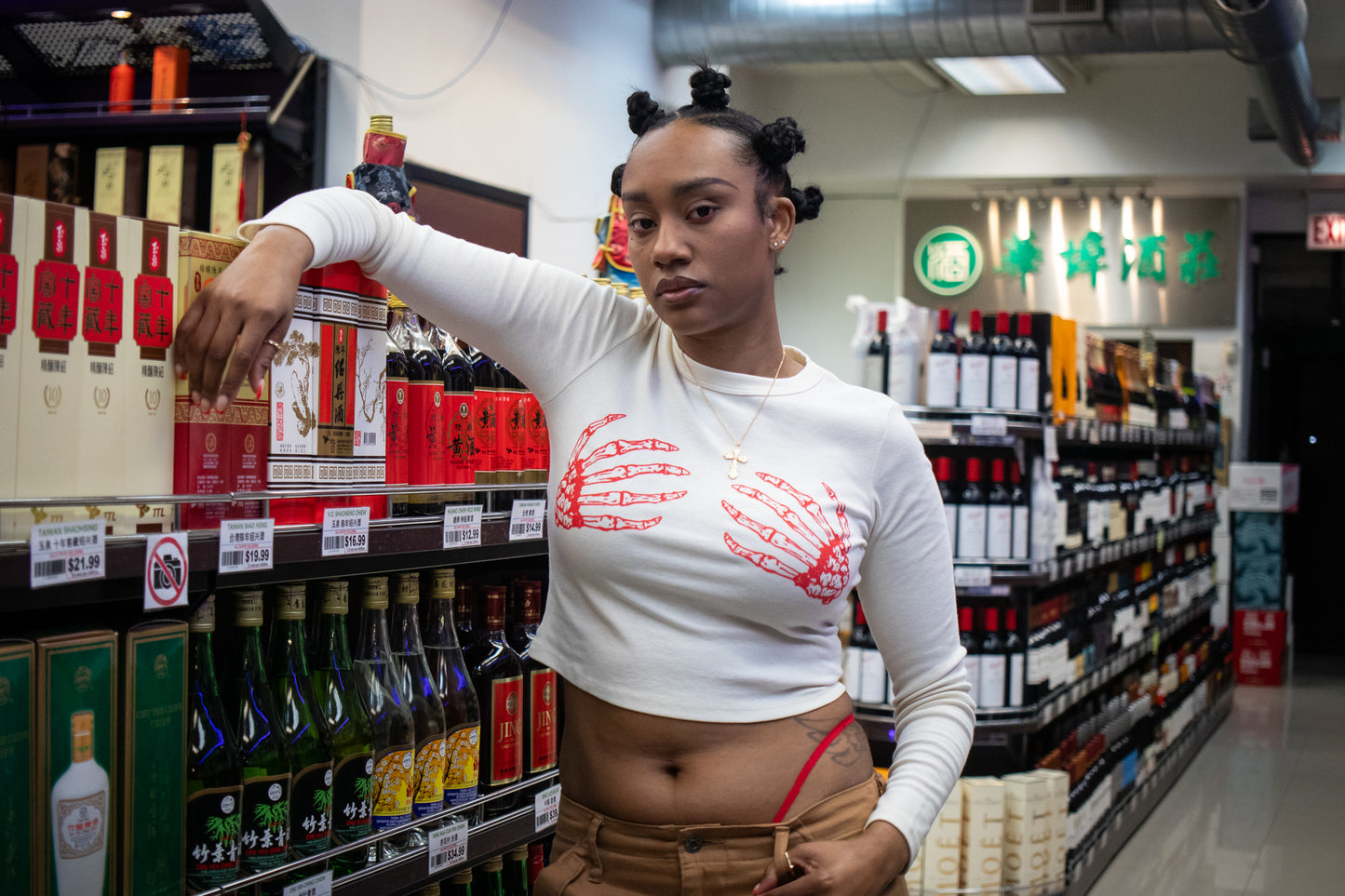 Devore Long Sleeve Cream Crop Top